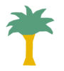 Palm Tree Image